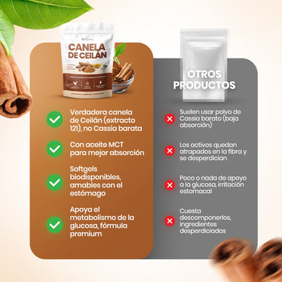 Biozentra – Ceylon Cinnamon 12:1 with MCT Oil
