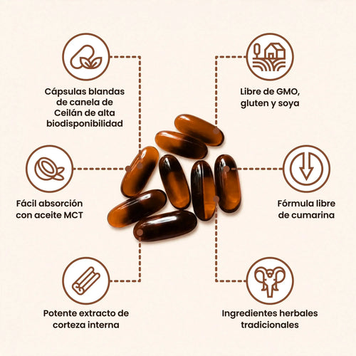 Biozentra - Canela de Ceylon 7200mg con Aceite MCT